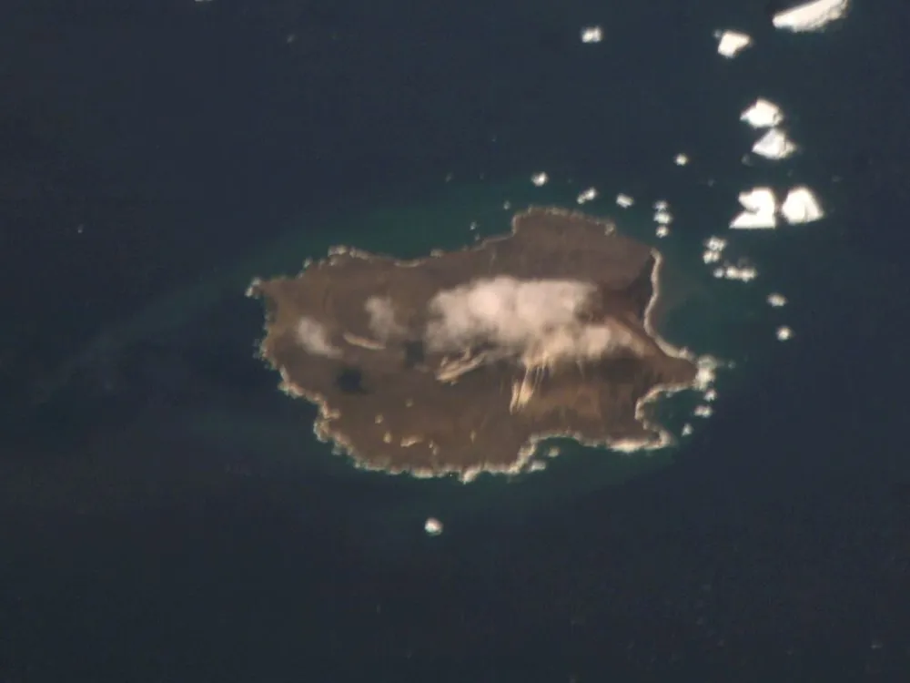 Zavodovski Island